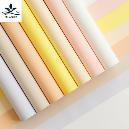 瓦楞纸板包装缓冲型（型号BZ-WL5F）